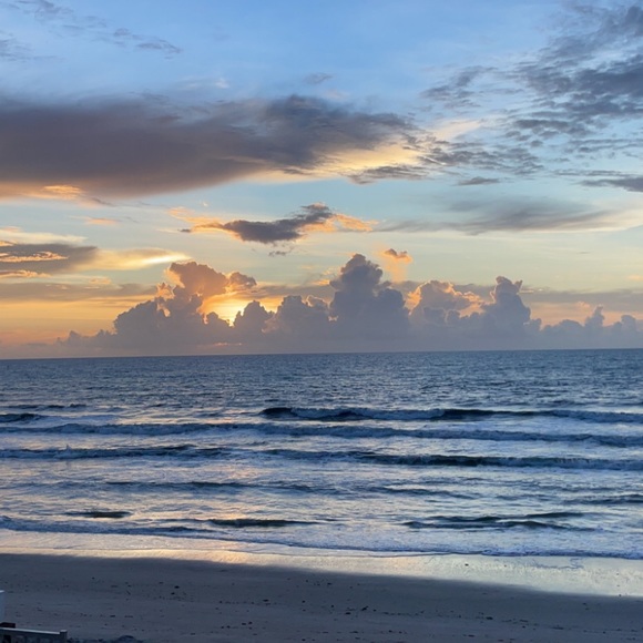 Meet your Posher, Maddie - Picture 1 of 1